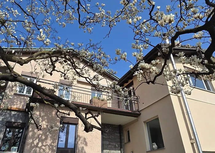 La Grande Magnolia Minusio